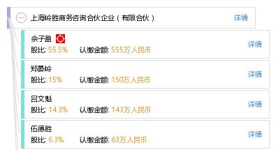 上海岭胜商务咨询合伙企业 助力企业商务决策的专业伙伴